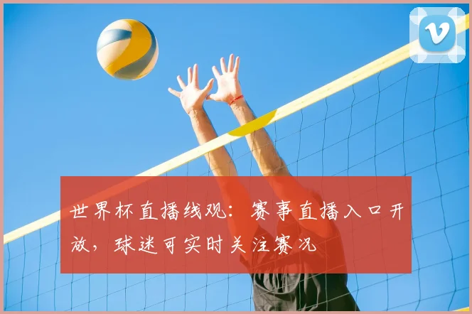 世界杯直播线观：赛事直播入口开放，球迷可实时关注赛况