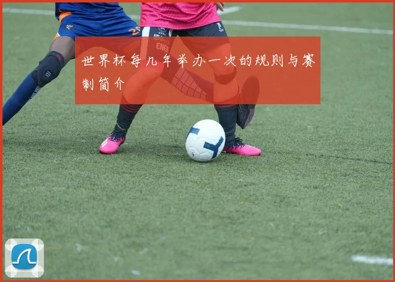 世界杯每几年举办一次的规则与赛制简介