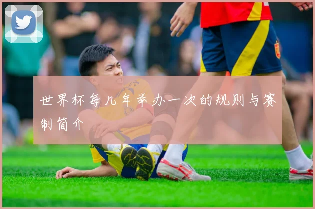 世界杯每几年举办一次的规则与赛制简介