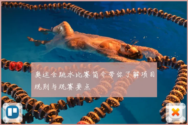 奥运会跳水比赛简介带你了解项目规则与观赛要点