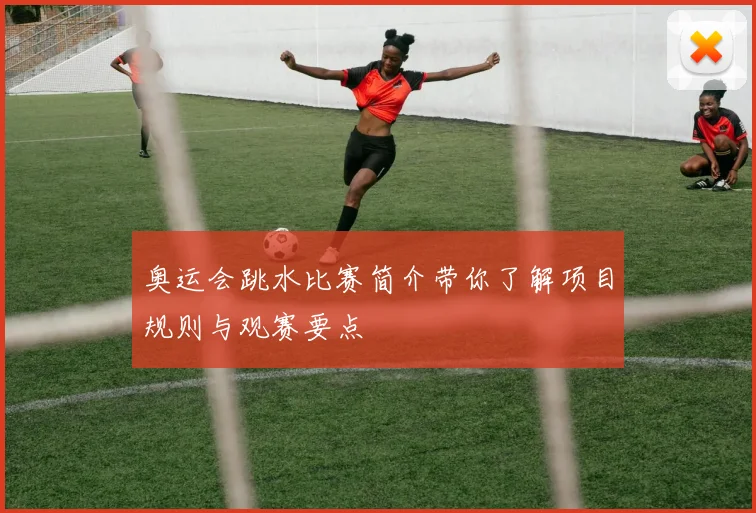 奥运会跳水比赛简介带你了解项目规则与观赛要点